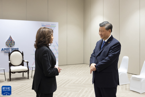 Xi meets with US VP.JPG